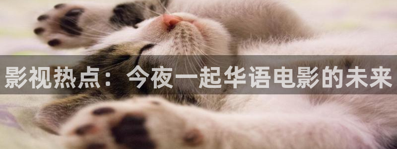 caoporn超碰在线进入：影视热点：今夜一起华语电影的未来