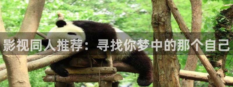 超碰韩国东京热：影视同人推荐：寻找你梦中的那个自己