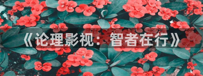 亚洲精品超碰在线观看：《论理影视：智者在行》