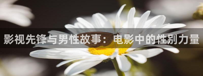 91 超碰在线观看：影视先锋与男性故事：电影中的性别力量